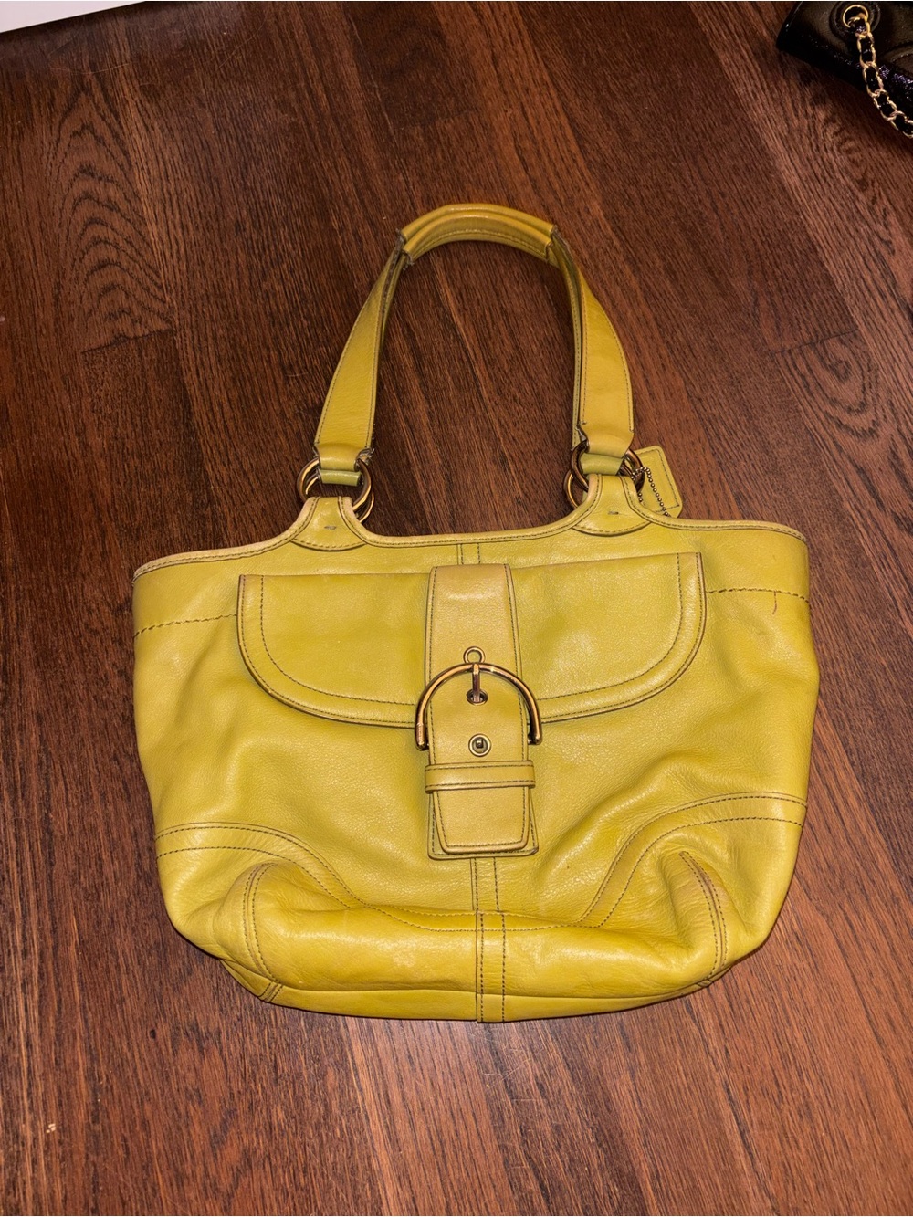 Green vintage coach bag